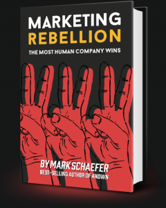 Marketing Rebellion The Most Human Company Wins Mark Schaefer Wild Business Growth Podcast Hippo Direct
